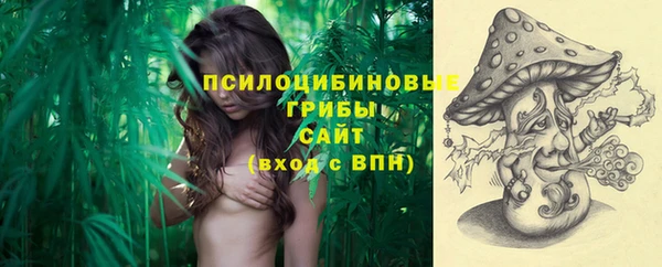 стафф Новодвинск